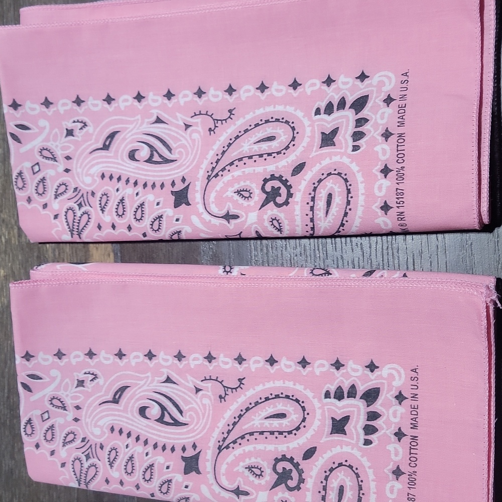 Set of 2 ~ Carolina Creative Bandanna Light Pink Traditional Paisley 22" x 22"